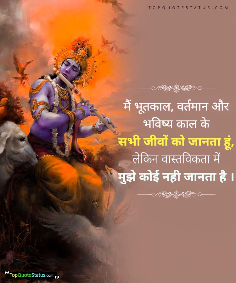 Bhagavad Gita Quotes in Hindi for Life