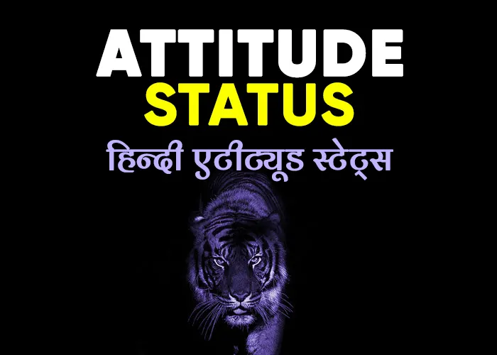 101+ High Attitude Status in Hindi – Hindi Attitude Status